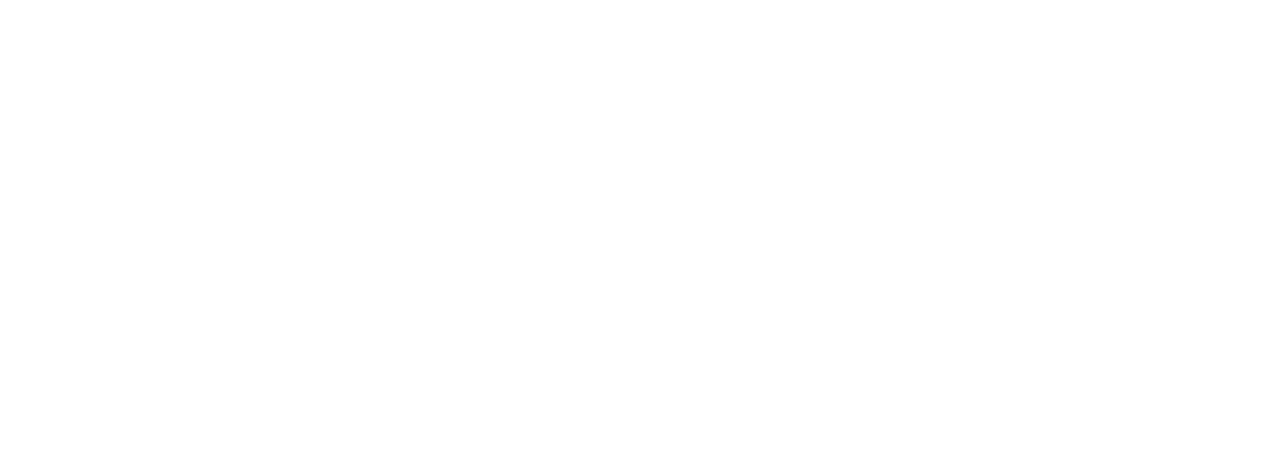 Atena invest